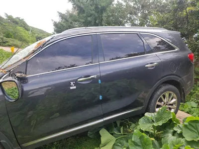 2016 Kia Sorento KNAPH81ABHA277304 VIN:KNAPH81ABHA277304