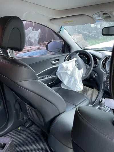 2016 Hyundai Santa FE KMHSW81UDGU698941 VIN:KMHSW81UDGU698941