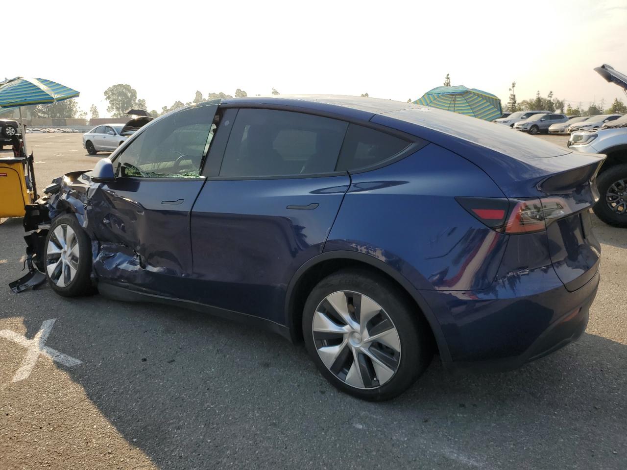 2022 TESLA MODEL Y  VIN:7SAYGDEEXNF376064