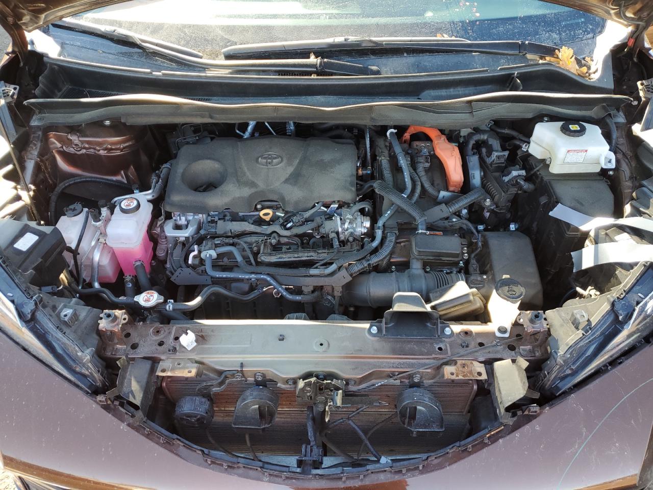 2023 TOYOTA SIENNA XLE VIN:5TDYSKFC7PS090068