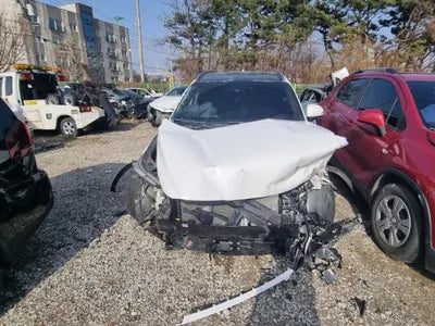 2019 Hyundai Santa FE KMHS381ADLU216986 VIN:KMHS381ADLU216986