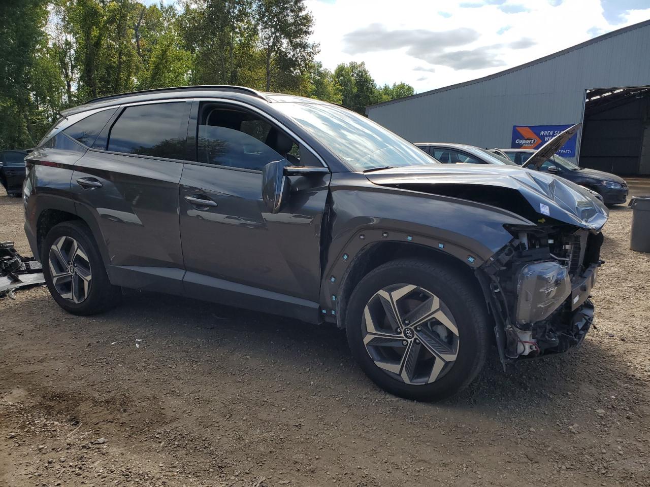 2023 HYUNDAI TUCSON LUXURY VIN:KM8JCCA16PU104155