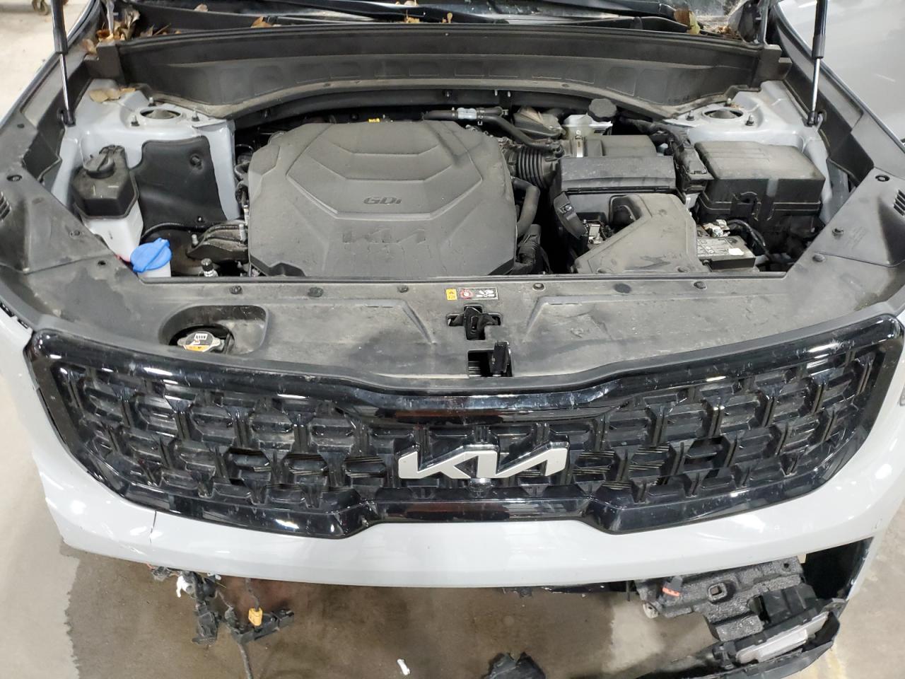 2024 KIA TELLURIDE SX VIN:5XYP5DGC7RG451814