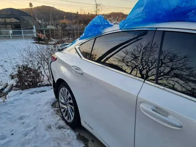 2021 Lexus ES 300 VIN: