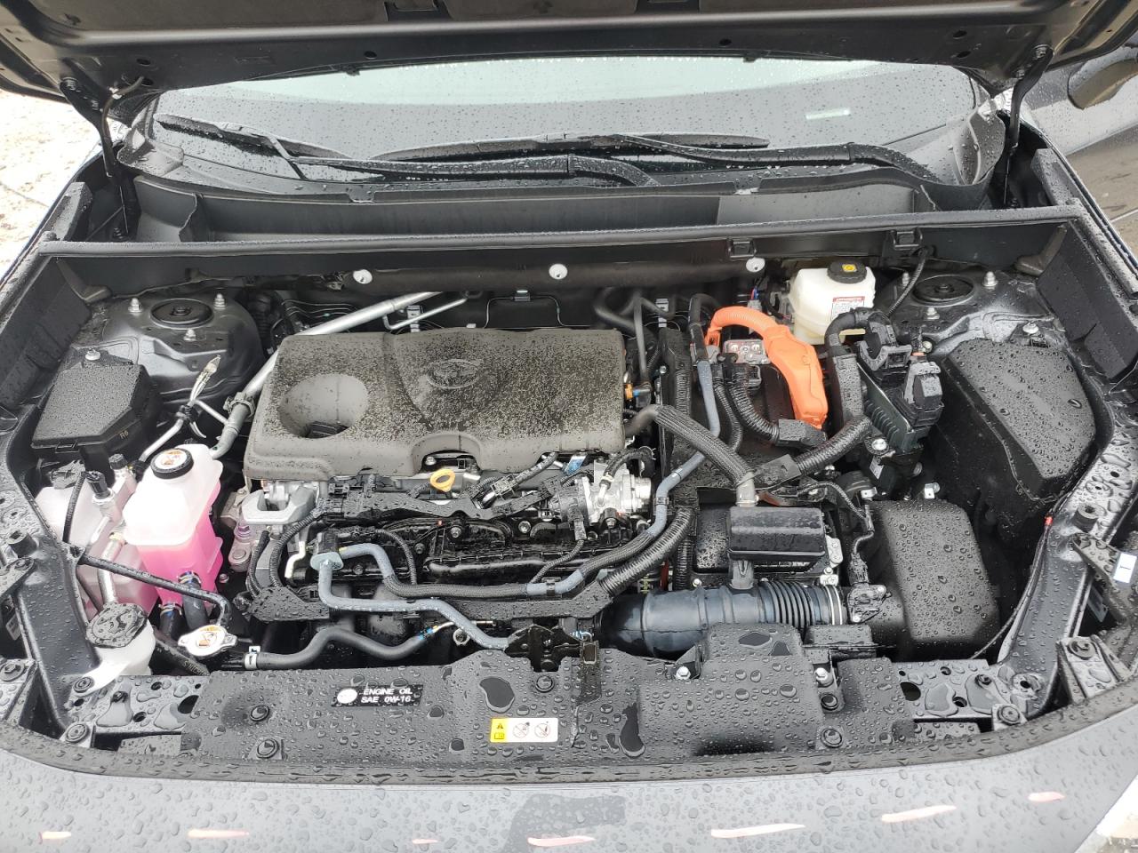 2024 TOYOTA RAV4 XLE PREMIUM VIN:2T3B6RFV0RW077961