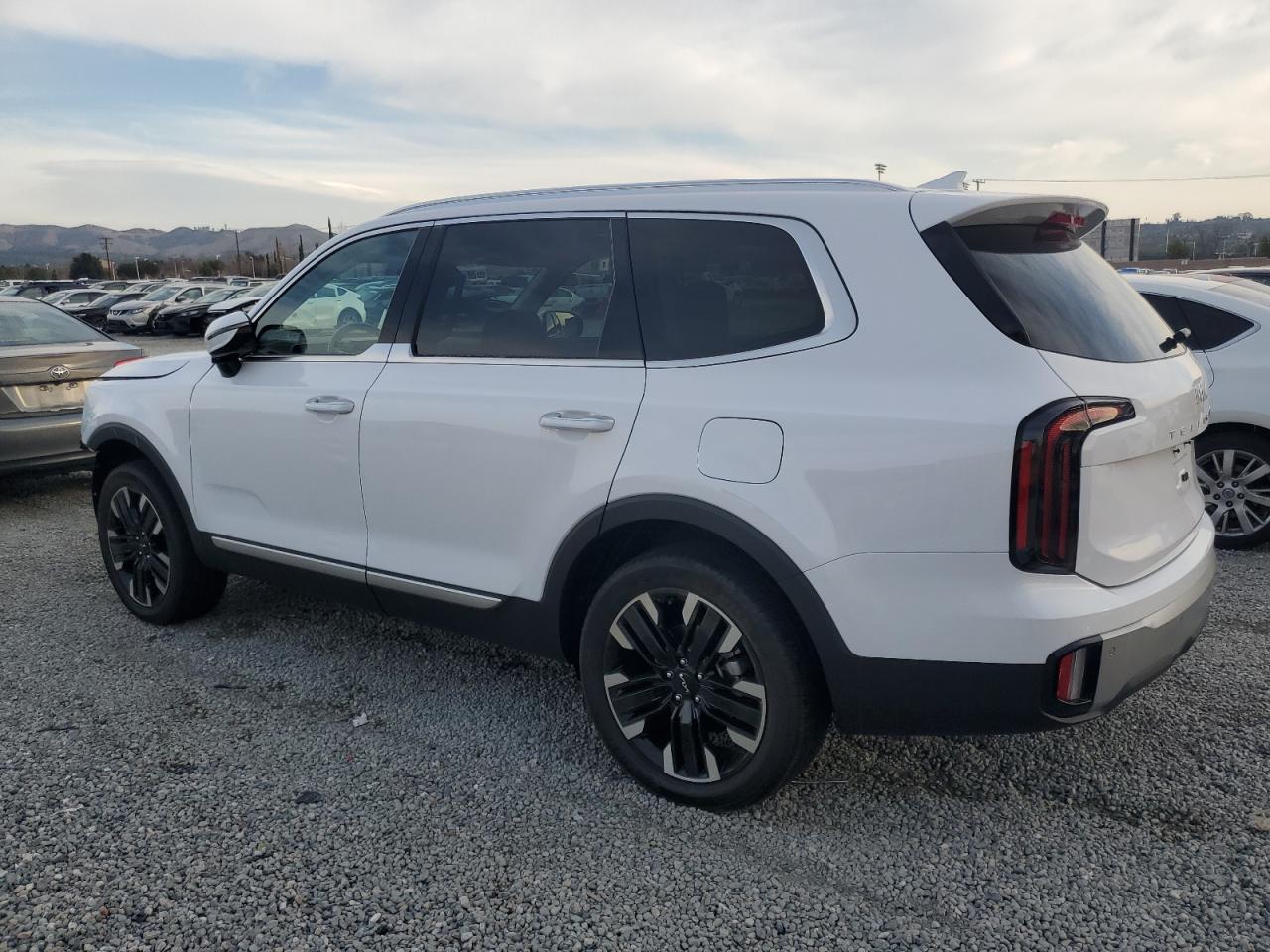 2024 KIA TELLURIDE SX VIN:5XYP5DGC2RG412872
