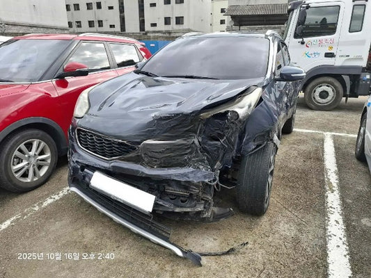 KNAPM813BGK031407 D25-1016094