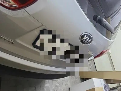 2016 Kia Sorento KNAPS81ADGA236523 VIN:KNAPS81ADGA236523