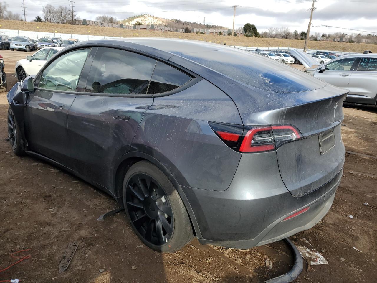 2023 TESLA MODEL Y  VIN:7SAYGDEE8PF751324