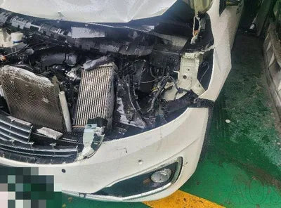 2017 Kia Carnival 746KMKNAMB81ABHS3 VIN:746KMKNAMB81ABHS3