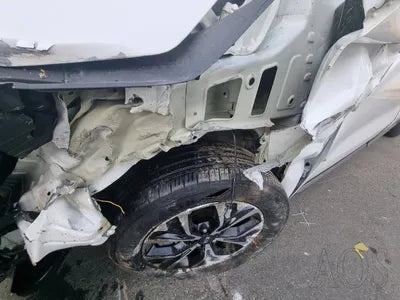2020 Kia Carnival KNANC81BBMS015175 VIN:KNANC81BBMS015175