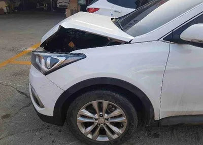 2018 Hyundai Santa FE KMHSW81UBJU834628 VIN:KMHSW81UBJU834628