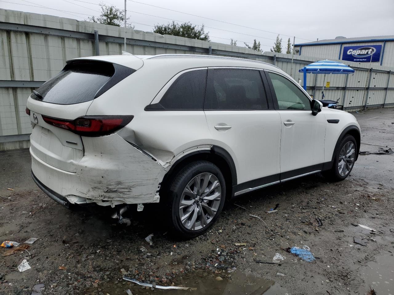 2024 MAZDA CX-90 PREMIUM PLUS VIN:JM3KKEHD5R1100519