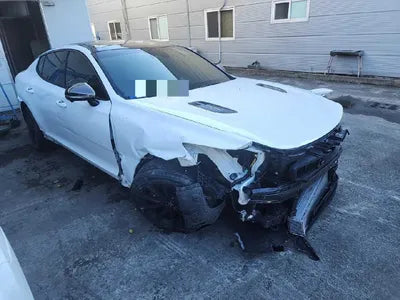 2021 Kia Stinger KNAE551CDMS098940 VIN:KNAE551CDMS098940