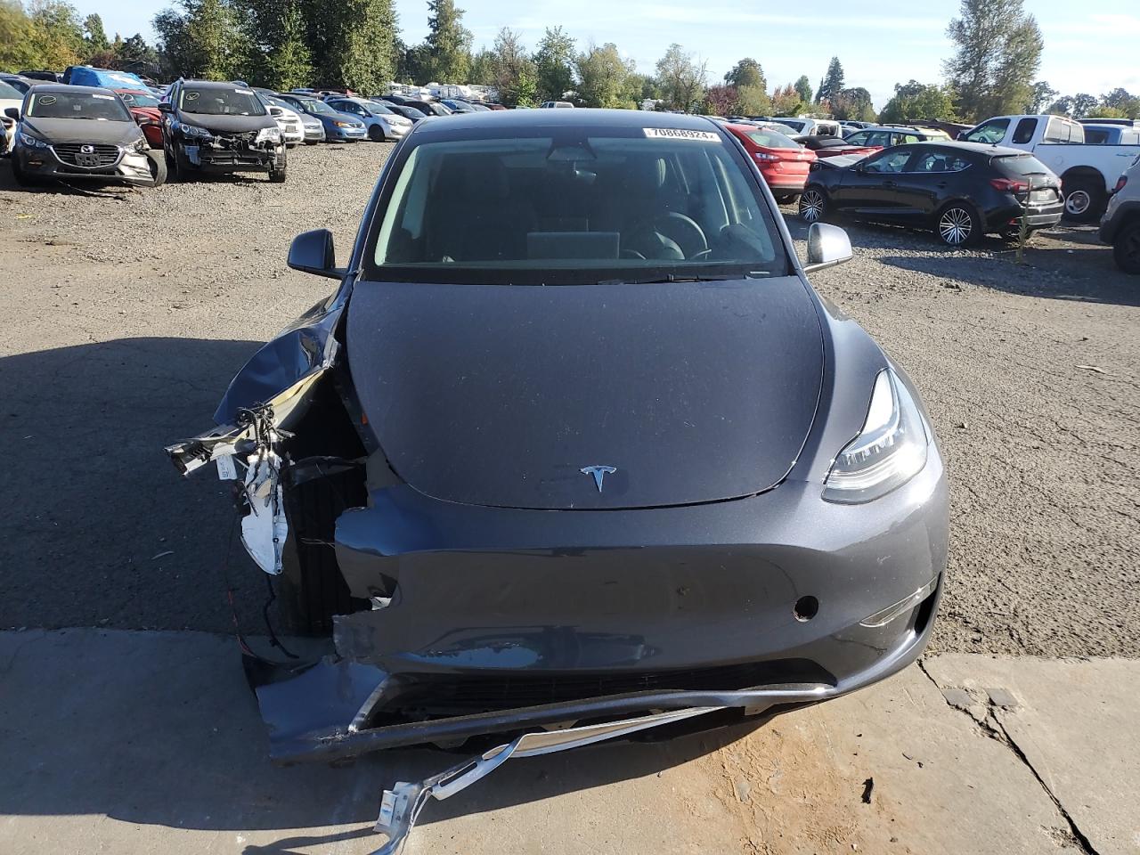 2023 TESLA MODEL Y VIN:7SAYGDEE6PA119497