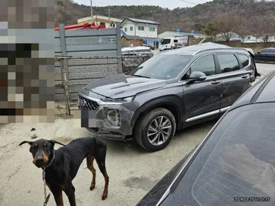 2020 Hyundai Santa FE KMHS281ABLU296695 VIN:KMHS281ABLU296695