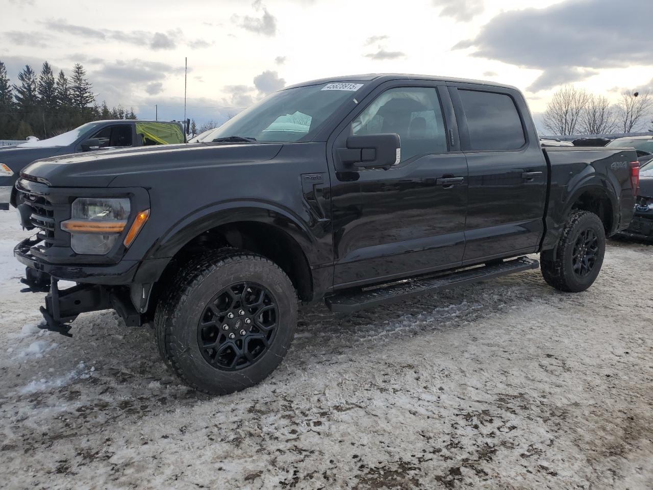 2024 FORD F150 XLT VIN:1FTEW3LP8RKD69396