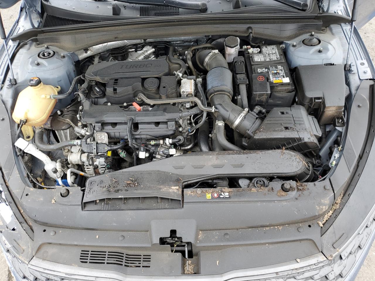 2022 KIA K5 LXS VIN:5XXG14J20NG111012