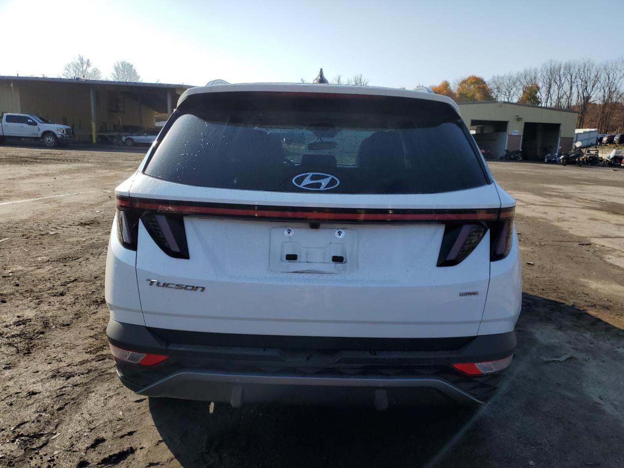 2024 HYUNDAI TUCSON LIMITED VIN:5NMJECDEXRH295036