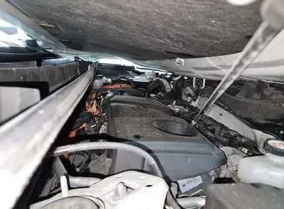 2019 Toyota RAV4 VIN: