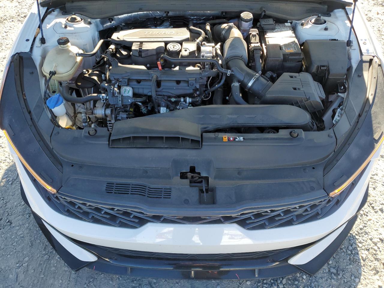 2023 KIA K5 GT LINE VIN:5XXG64J26PG205819