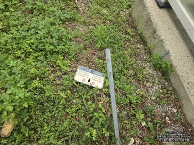 2020 Hyundai Santa FE VIN: