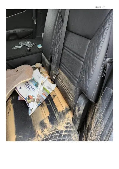 2019 Kia Sorento KNAPH81BDLA596979 VIN:KNAPH81BDLA596979