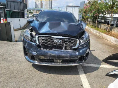 2019 Kia Sorento KNAPK81BBLA562518 VIN:KNAPK81BBLA562518