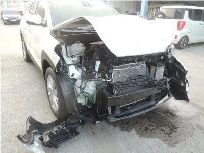 2019 Hyundai Tucson KMHJ381ABKU813571 VIN:KMHJ381ABKU813571