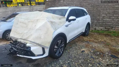 2020 Kia Sorento KNARK81GBMA009184 VIN:KNARK81GBMA009184