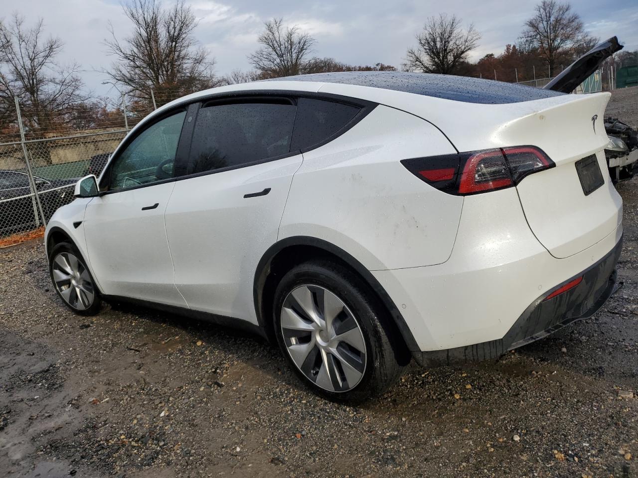 2022 TESLA MODEL Y  VIN:7SAYGDEE6NA019848