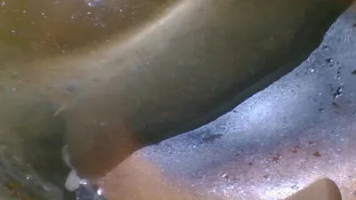 2020 Mercedes-Benz S 560 W1KUG8GB3LA529689 VIN:W1KUG8GB3LA529689