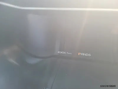 2019 Ford Mustang VIN: