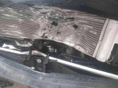 2021 Mercedes-Benz B 250 W1N4M4HB9MW095608 VIN:W1N4M4HB9MW095608