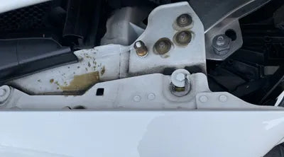 2019 Mercedes-Benz E 300 WDDZF5DB5KA670449 VIN:WDDZF5DB5KA670449