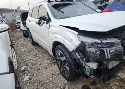 2021 Hyundai Santa FE KMHS581HGMU396744 VIN:KMHS581HGMU396744