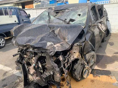 2019 Kia Carnival KNAMB81ABKS505816 VIN:KNAMB81ABKS505816