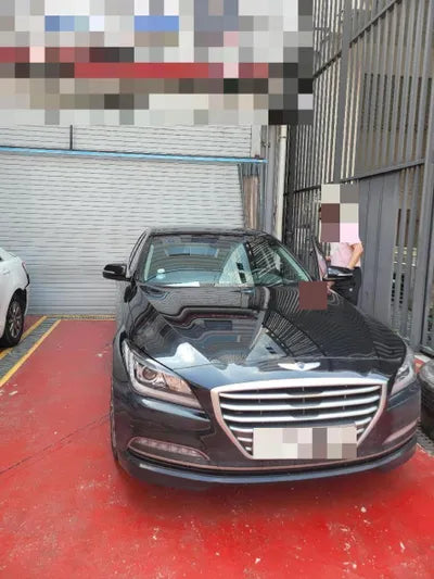 2015 acupuncture nessis 3.3 VIN: