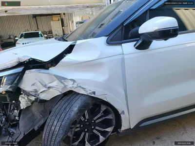 2021 Kia Carnival KNANE813BMS094800 VIN:KNANE813BMS094800