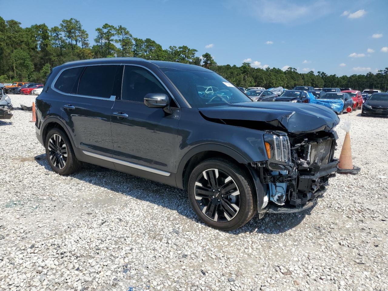 2024 KIA TELLURIDE SX VIN:5XYP5DGC8RG459890