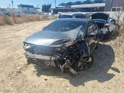 2020 Hyundai Ioniq KMHC051CGLU216819 VIN:KMHC051CGLU216819