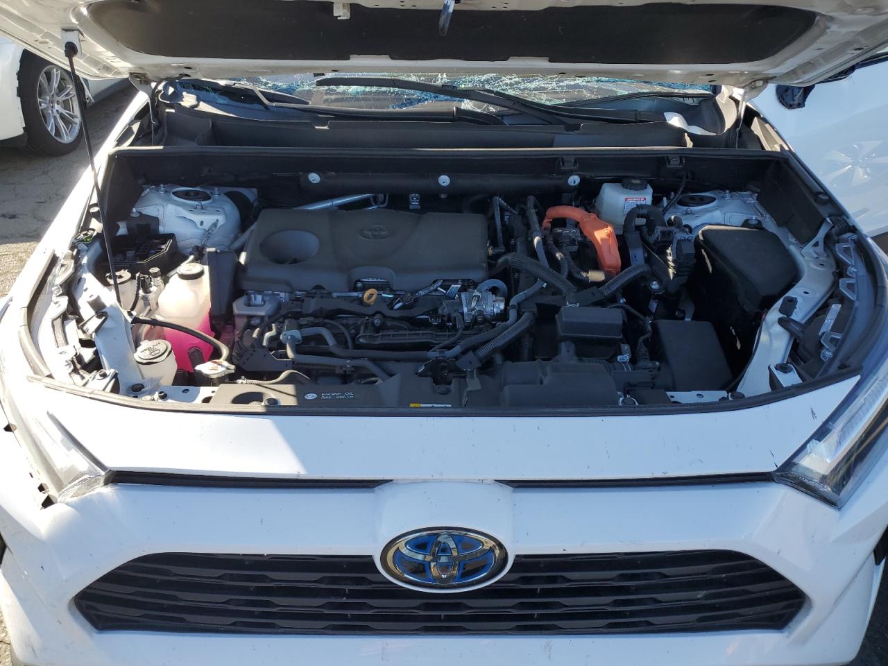 2023 TOYOTA RAV4 XLE VIN:4T3RWRFV4PU083824