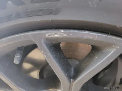 2019 Ford Mustang VIN: