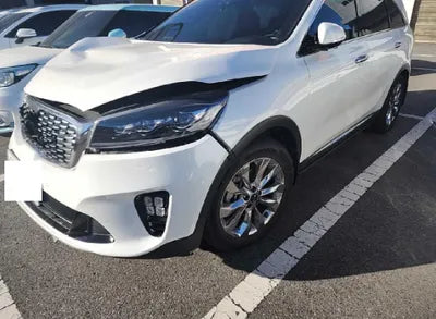 2019 Kia Sorento KNAPK81BBKA548471 VIN:KNAPK81BBKA548471