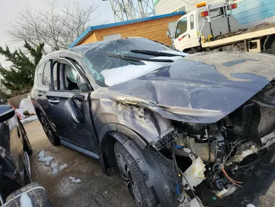 2020 Hyundai Santa FE KMHS381ABLU276320 VIN:KMHS381ABLU276320