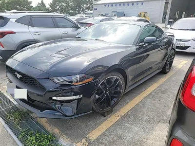 2019 Ford Mustang 571KM1FA6P8TH5K51 VIN:571KM1FA6P8TH5K51