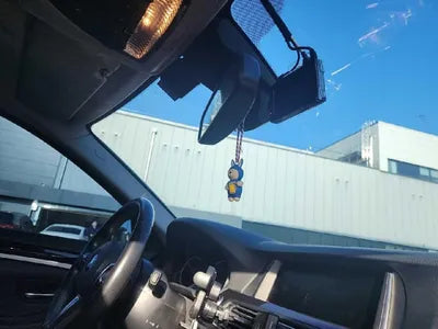 2016 BMW 520 WBA5E5109GG205141 VIN:WBA5E5109GG205141