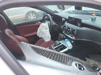 2021 Kia Stinger KNAE551CBNS115060 VIN:KNAE551CBNS115060