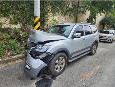 2017 Kia Mohave KNAKN814DHA160219 VIN:KNAKN814DHA160219