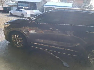 2020 Kia Sorento KNAPH81ABLA644289 VIN:KNAPH81ABLA644289
